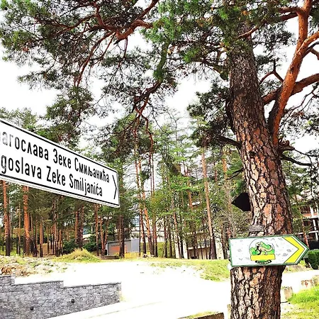 Balkanhill2 S37 Pekovic شقة زلاتيبور